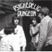 Various ARTEFACTS FROM THE PSYCHEDELC DUNGEON (No On Label ISR 007 CD) obscure 60s recordings CD